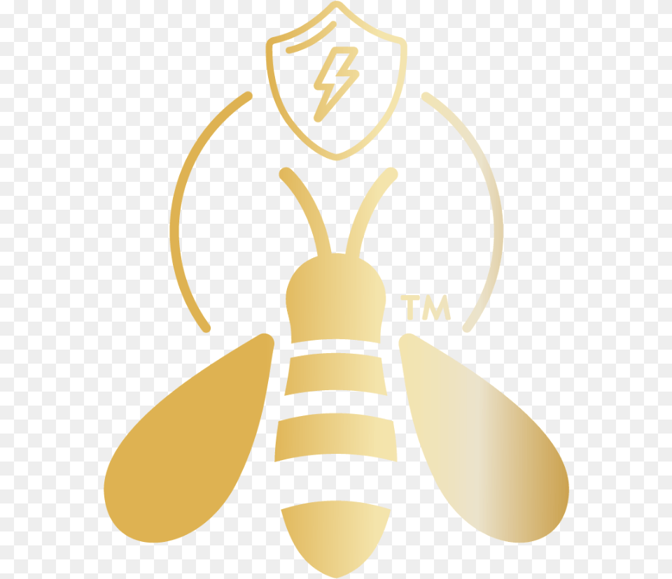 Honeybee, Animal, Bee, Insect, Invertebrate Png