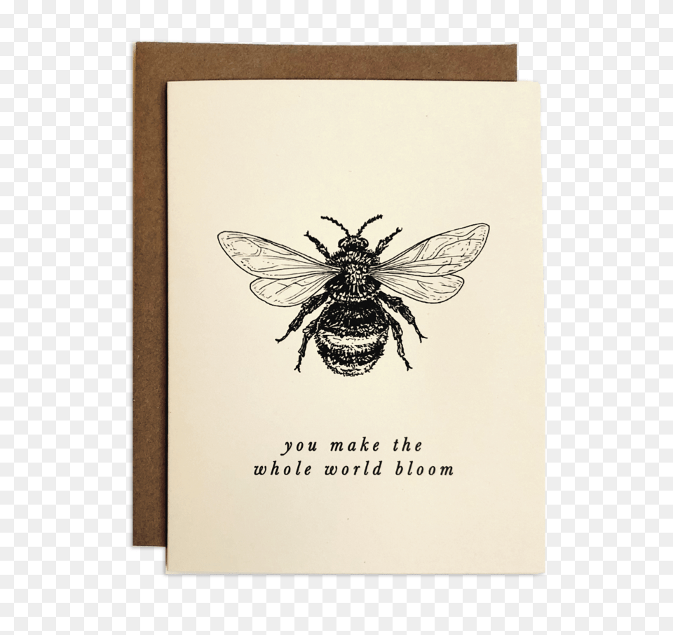Honeybee, Animal, Insect, Invertebrate, Apidae Free Transparent Png