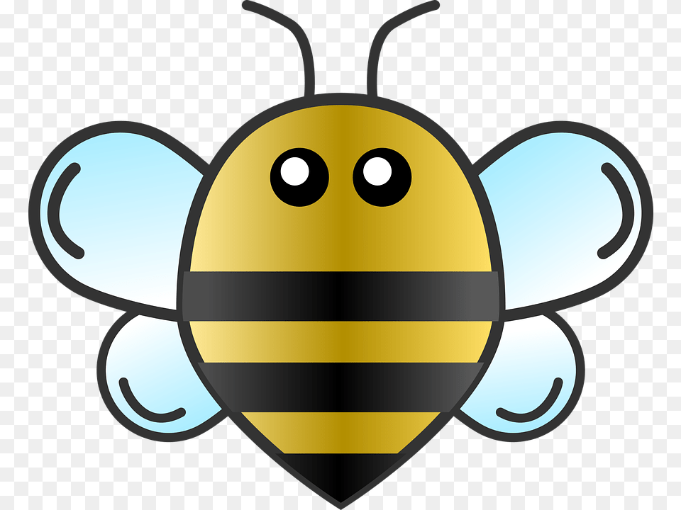 Honeybee, Animal, Bee, Insect, Invertebrate Png Image