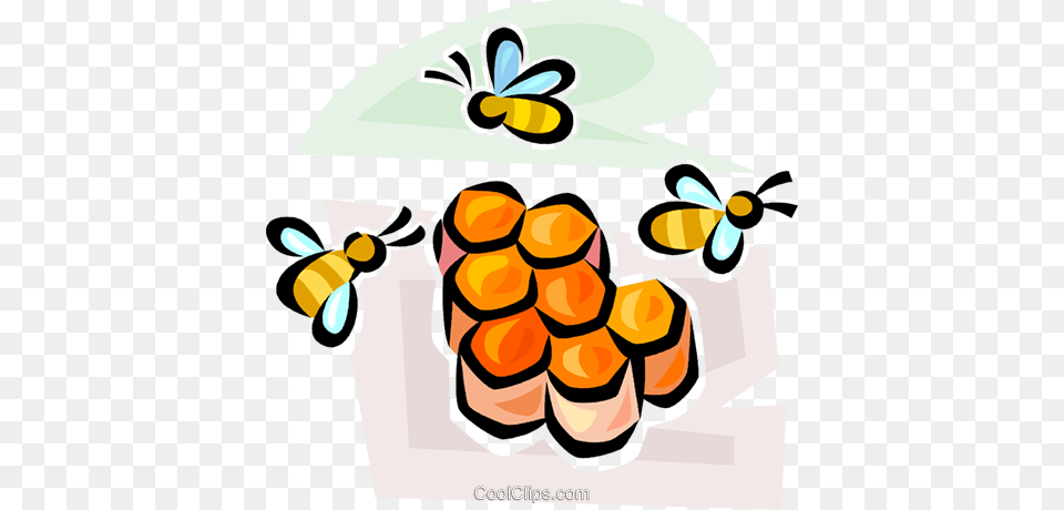 Honeybee And Honeycomb Royalty Vector Clip Art Illustration, Animal, Bee, Honey Bee, Insect Free Transparent Png