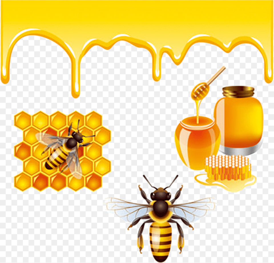 Honeybee Honey Bees Bee, Animal, Food, Insect, Invertebrate Free Transparent Png