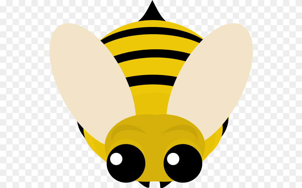 Honeybee Mope Io Honey Bee, Animal, Wasp, Invertebrate, Insect Free Transparent Png