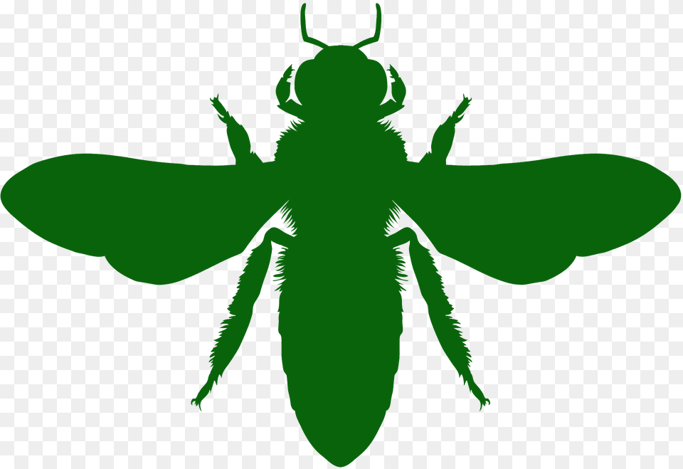 Honeybee Silhouette, Person, Animal Free Transparent Png