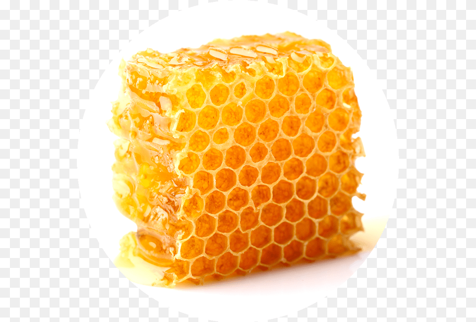 Honeycomb, Food, Honey Png