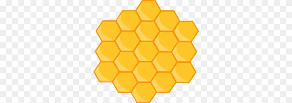 Honeycomb Food, Honey, Animal, Reptile Png Image