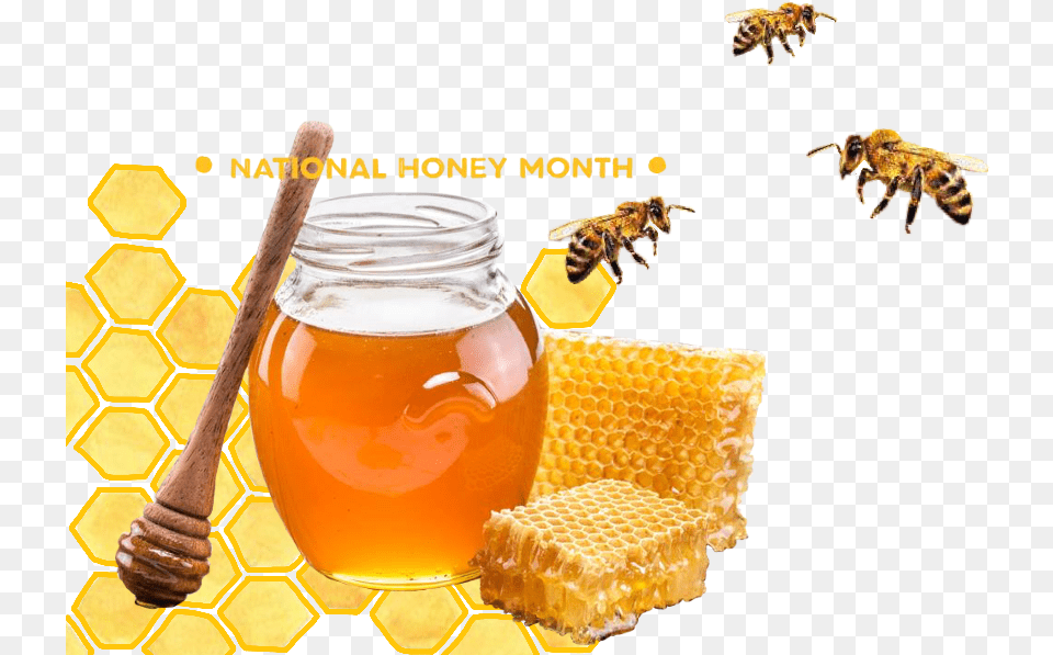 Honeycomb Nationalhoneymonth Honey Bee Honey Beeswax, Food, Invertebrate, Wasp, Alcohol Free Png