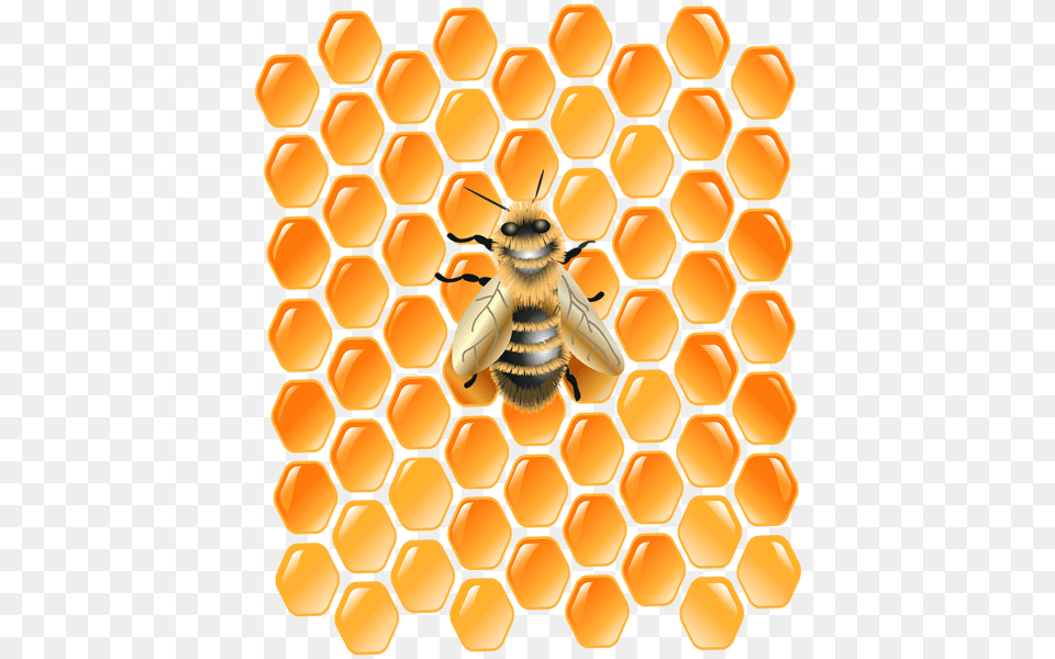 Honeycomb With Bee Clip Art Honeycomb, Animal, Food, Honey, Honey Bee Png Image