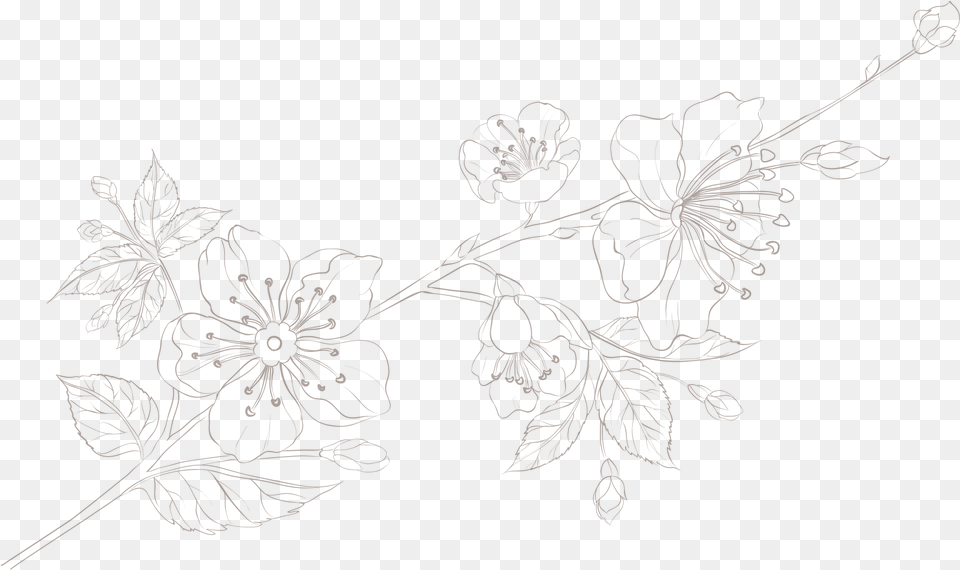 Honeysuckle, Art, Floral Design, Graphics, Pattern Free Transparent Png