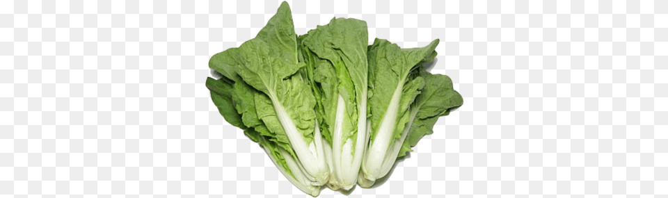 Hong Kong Organic Chinese Cabbage Romaine Lettuce, Food, Produce, Leafy Green Vegetable, Plant Free Png