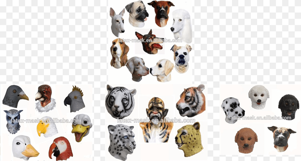 Hongxintoy Brand Rubber Dog Head Mask Latex Adult Size Great Dane, Animal, Pet, Canine, Mammal Free Png