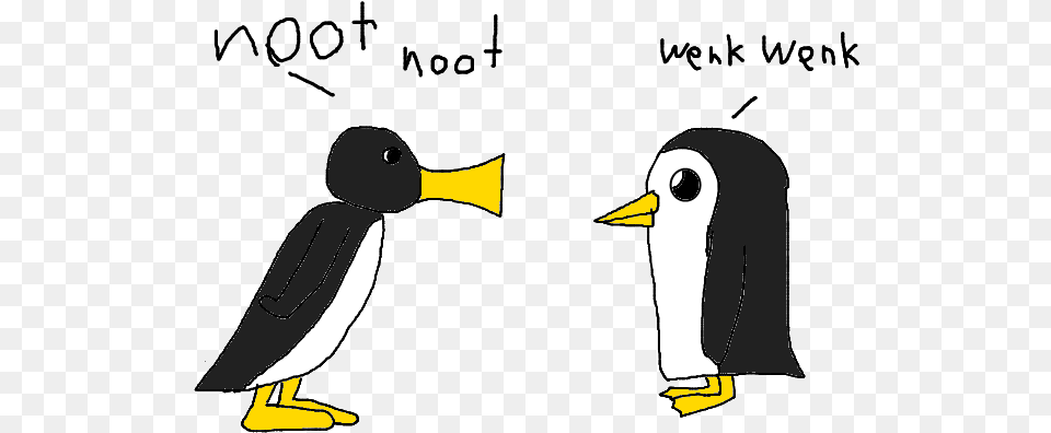 Hoo Penguin Bird Beak Penguin Vertebrate Flightless Noot Noot Vs Gunter, Animal, Person Free Png