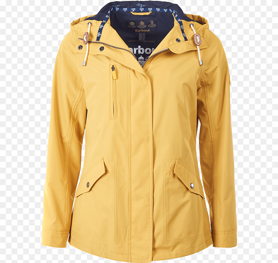 Hood Ladies Jacket Background Ladies Jacket, Clothing, Coat, Raincoat Free Png Download