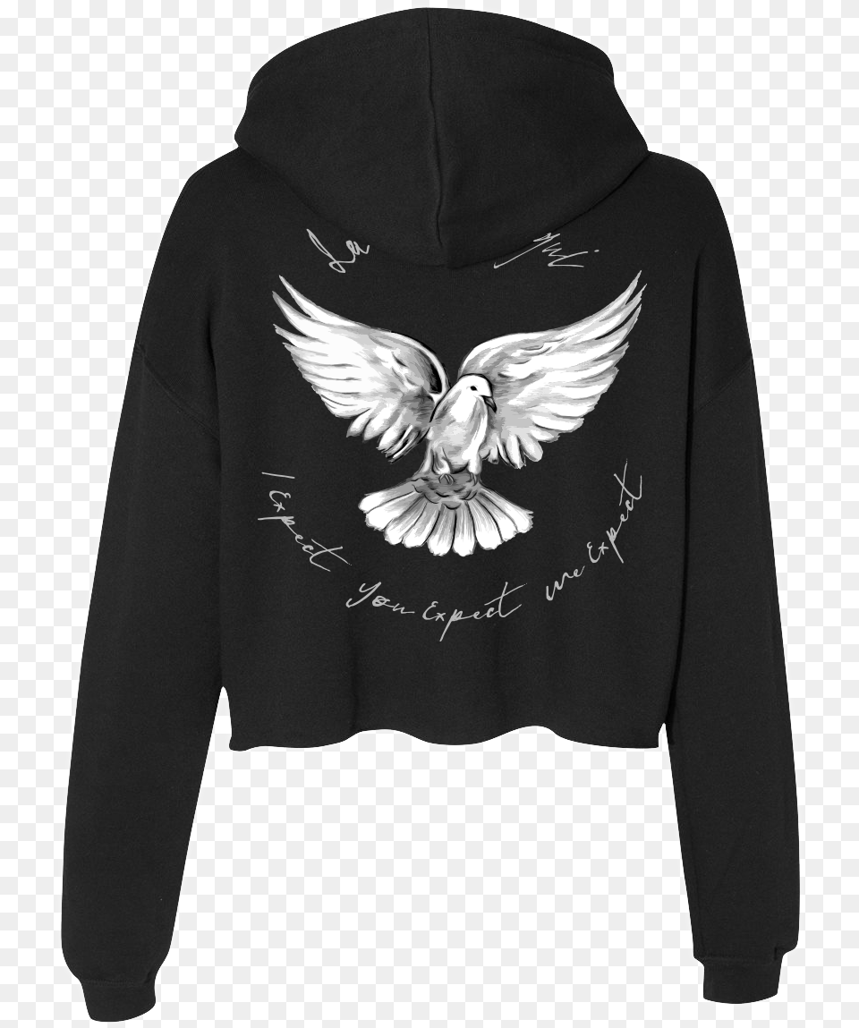 Hoodie 2016, Clothing, Knitwear, Sweater, Sweatshirt Png