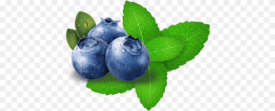 Hookafina Blueberry Mint Blueberry Gif Background, Berry, Food, Fruit, Plant Free Transparent Png