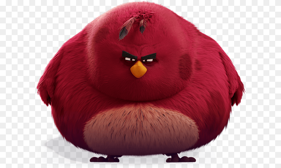 Hooligan Libertarian Blog Whou0027s Angry Angry Birds Movie Terence, Plush, Toy, Animal, Bear Png Image