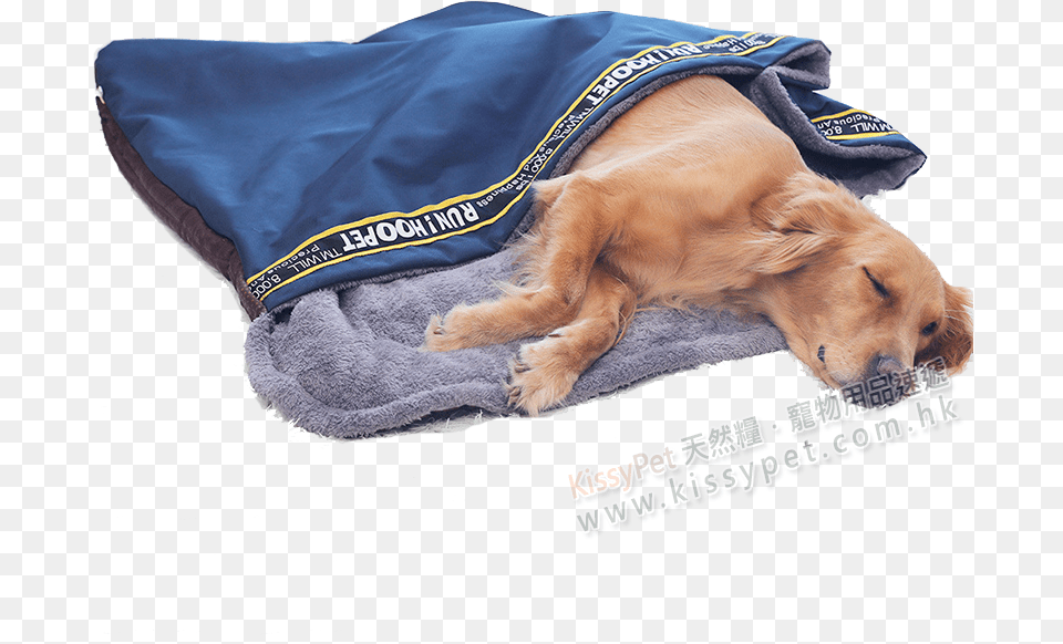 Hoopet Dual Use Sleeping Tent For Pets Dog, Blanket, Animal, Canine, Mammal Free Png