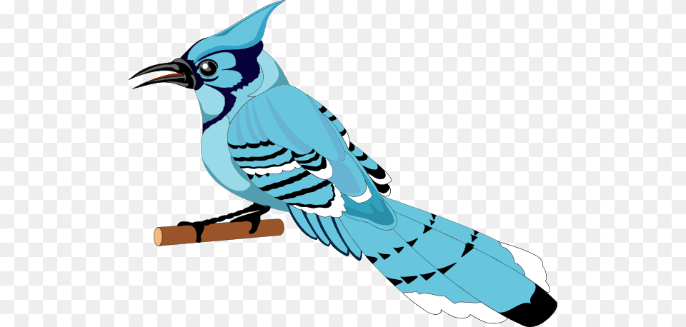 Hoopoe Clip Art For Web, Animal, Bird, Blue Jay, Bluebird Free Transparent Png