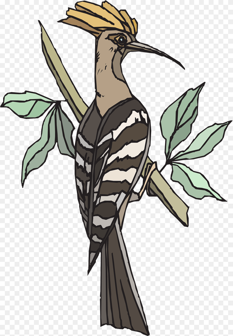 Hoopoe Clipart, Animal, Beak, Bird, Person Free Transparent Png