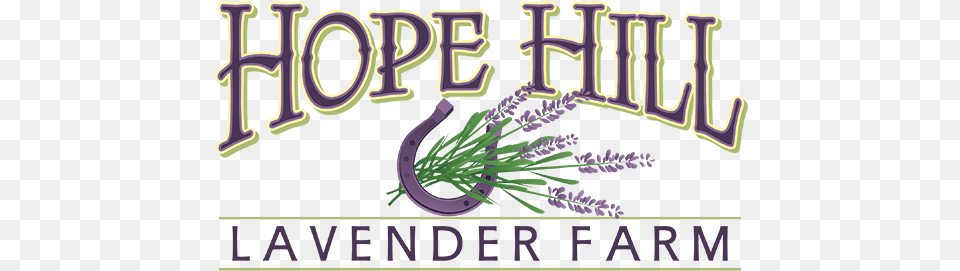 Hope Hill Lavender Farm Graphic Design, Flower, Plant, Purple, Herbal Free Transparent Png