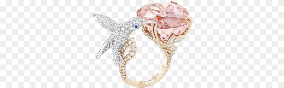 Hopi The Hummingbird Boucheron Hopi The Hummingbird Ring, Accessories, Jewelry, Diamond, Gemstone Free Transparent Png