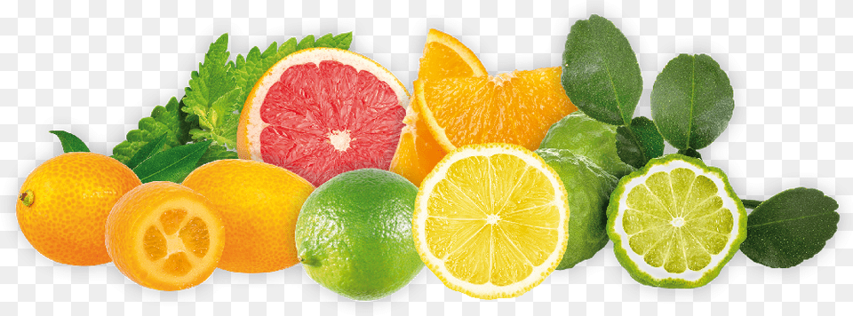 Hops Flavor Citrus Fruit Orange Et Citron, Citrus Fruit, Food, Grapefruit, Lime Png Image