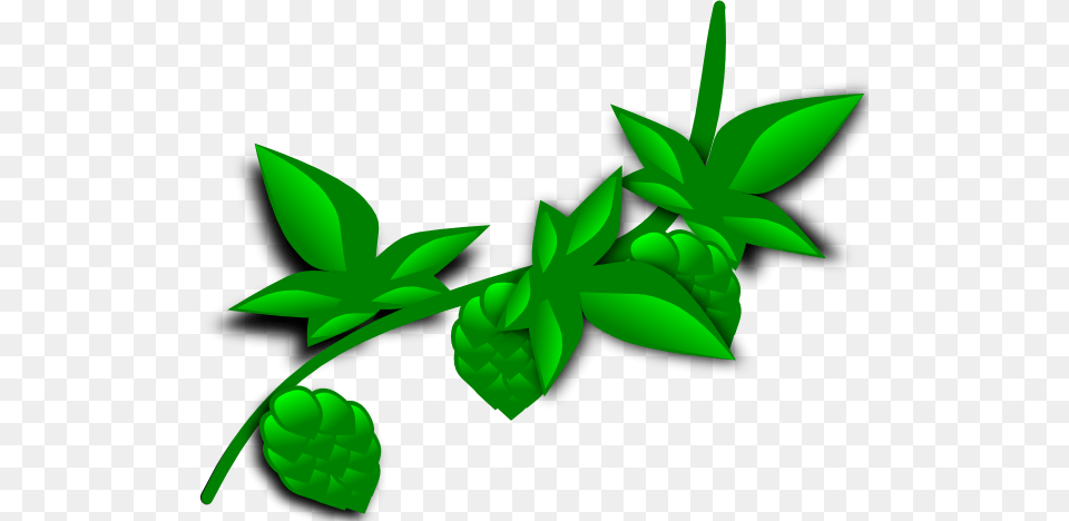 Hops Plant Clip Art, Green, Herbal, Herbs, Mint Png