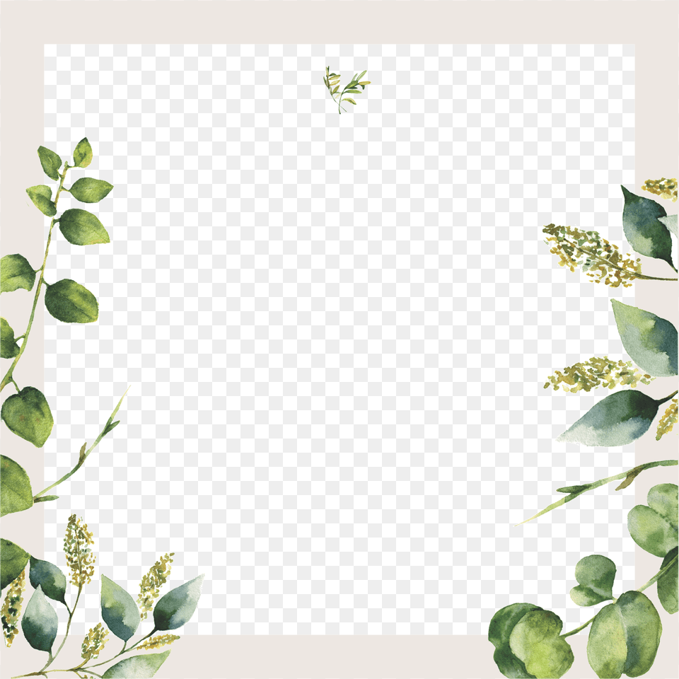Horizontal Frame, Herbal, Herbs, Plant, Leaf Free Png Download