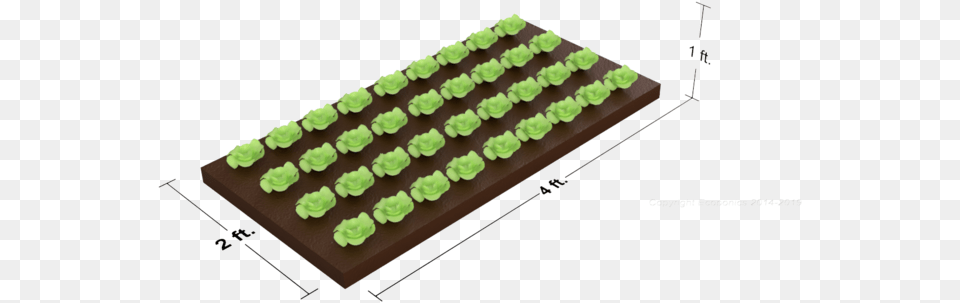Horizontal Grow Plane With Dimensions Copyright Grass, Hardware, Computer, Computer Hardware, Computer Keyboard Free Png