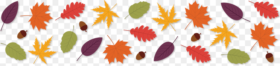 Horizontal Image Of Leaves, Leaf, Plant, Tree, Maple Leaf Free Png