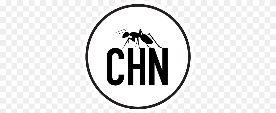 Hormiga Negra Cerveza, Animal, Ant, Insect, Invertebrate Png