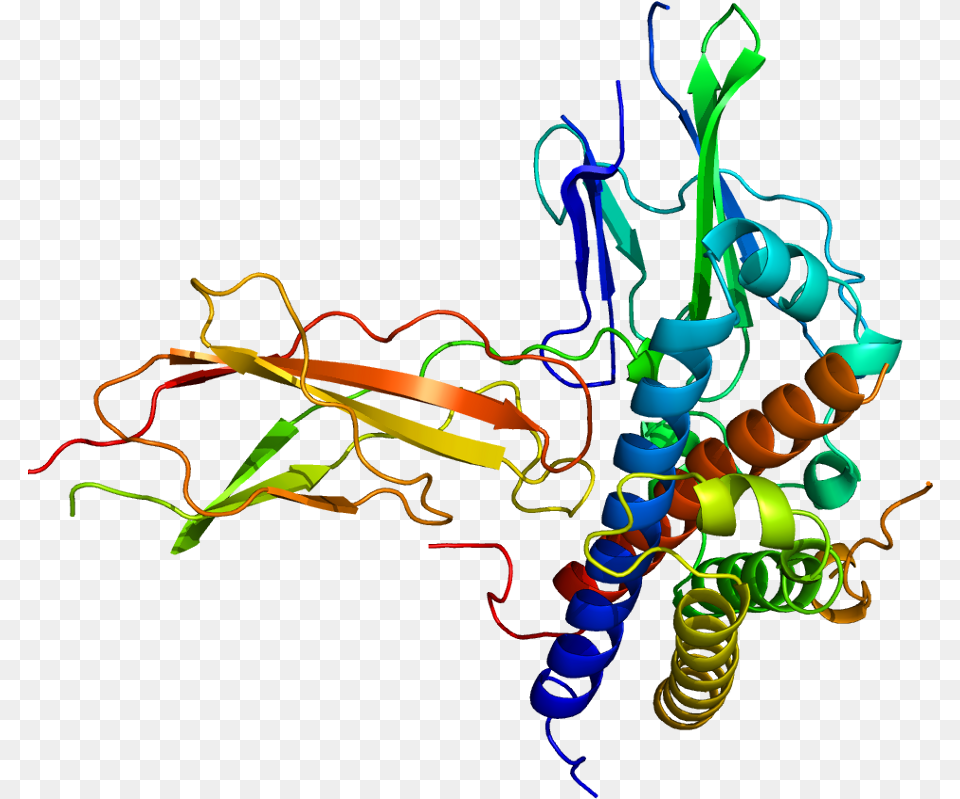 Hormon Rasta Human Growth Hormone Receptor Structure, Light, Neon, Art, Graphics Png