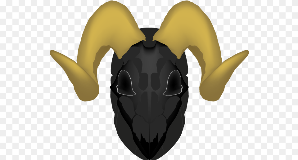 Horn, Baby, Person, Head Free Png