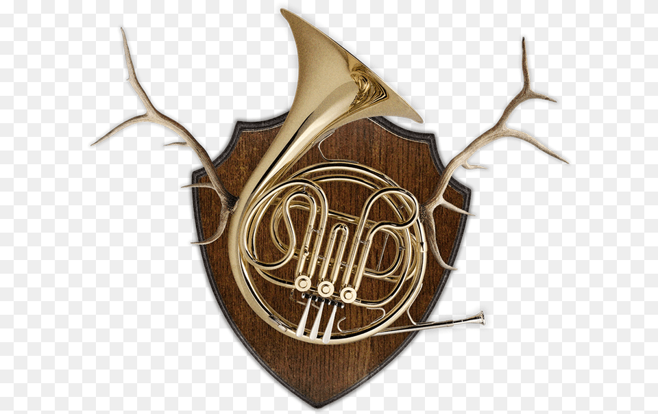 Horn, Brass Section, Musical Instrument, French Horn Free Png