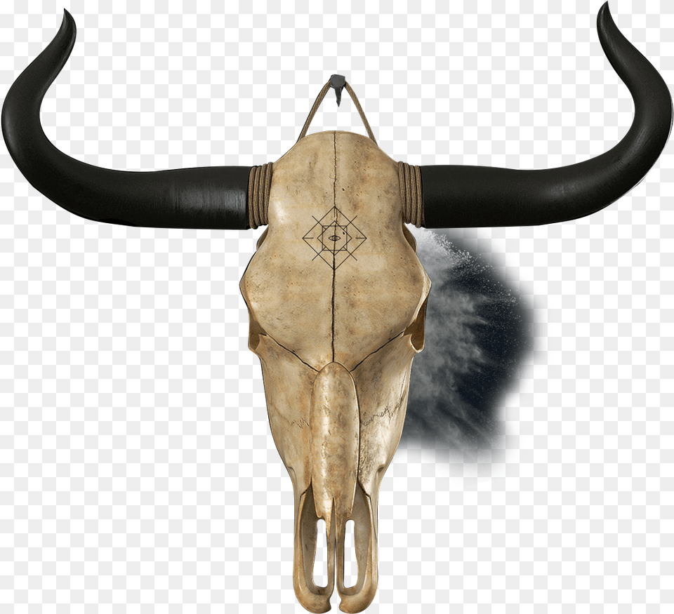 Horn, Animal, Bull, Mammal, Cattle Free Transparent Png