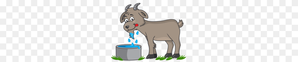 Horn Clipart, Water, Baby, Person, Animal Free Transparent Png