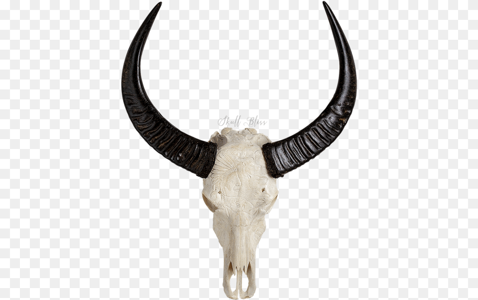 Hornantelopeanimal Figurecow Goat Animal Skull, Bull, Mammal, Accessories, Necklace Png Image