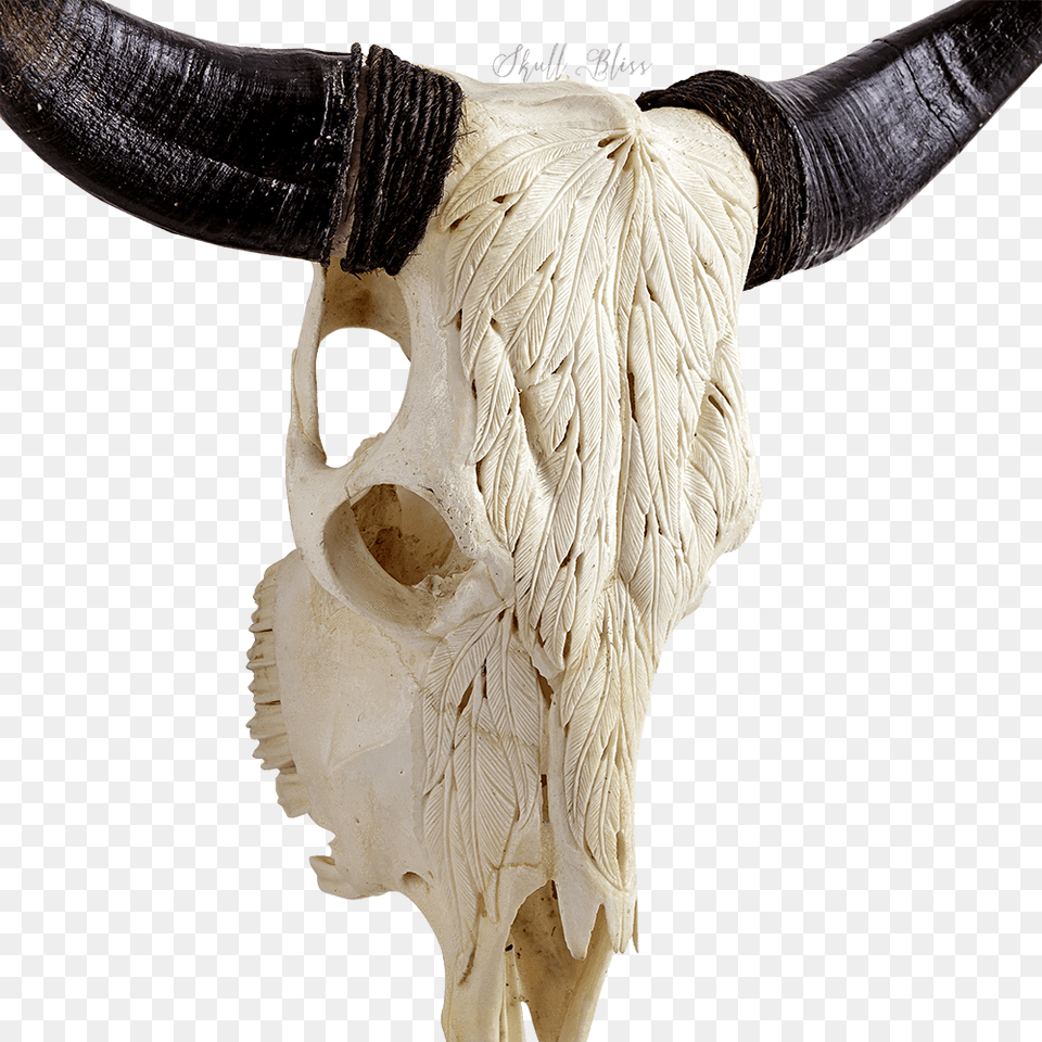 Hornantlerfuranimal Figurebovinecow Goat Familyskullnatural Ox, Animal, Bull, Mammal, Cattle Free Png