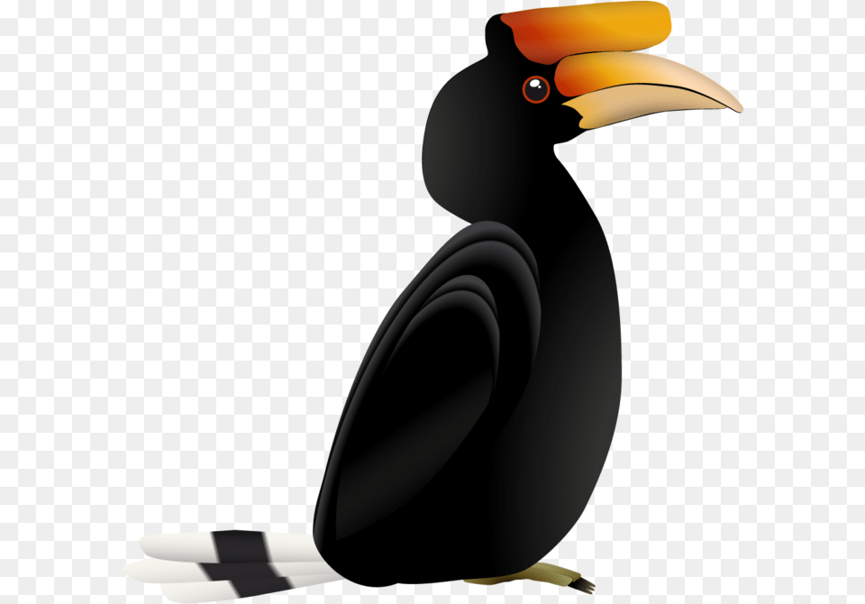 Hornbill, Animal, Beak, Bird, Toucan Png Image