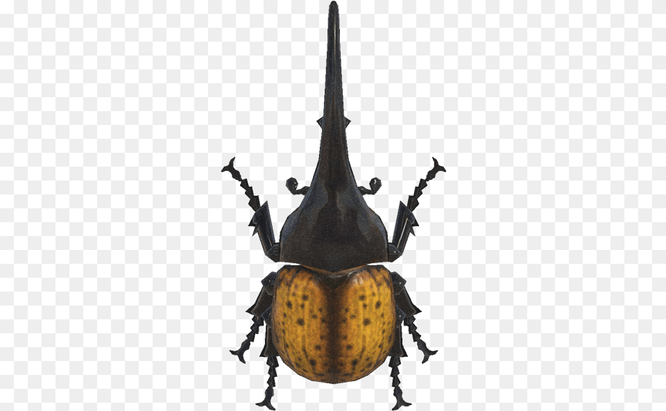 Horned Hercules Hercules Beetle Animal Crossing New Horizons, Chandelier, Lamp Free Png Download