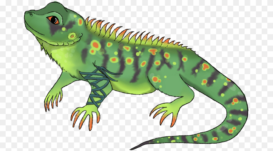 Horned Lizard Clipart Green Iguana Transparent Background Iguana Clipart, Animal, Reptile, Person Png Image