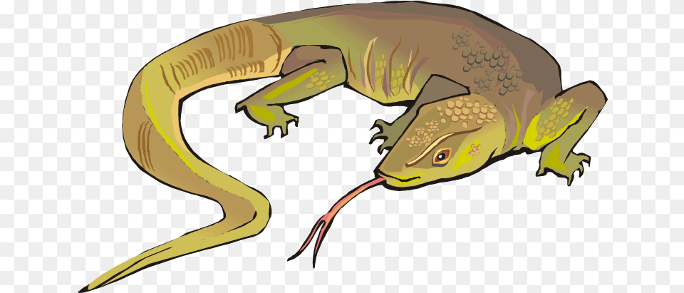 Horned Lizard Photos Mart Komodo Dragon Clipart, Animal, Gecko, Reptile, Fish Png Image