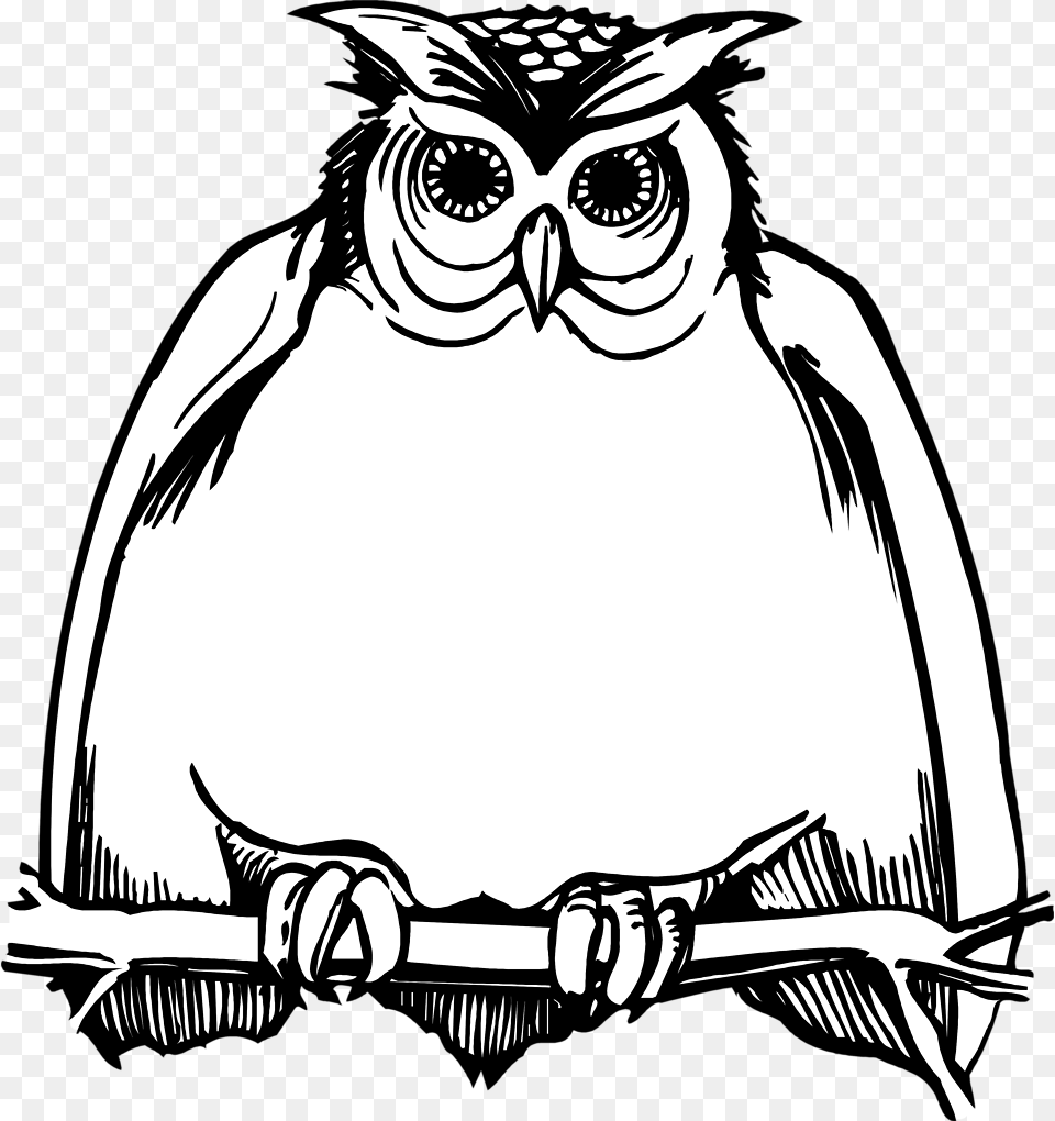 Horned Owl Clipart Black And White Owl Clipart Black And White, Adult, Wedding, Person, Female Free Transparent Png