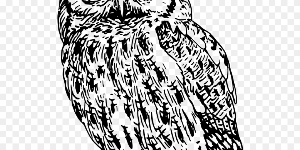 Horned Owl Clipart Flying Fuck Off Irritable Owl Syndrome, Gray Png