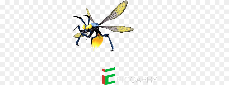 Hornet, Animal, Bee, Insect, Invertebrate Free Transparent Png
