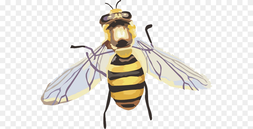Hornet Abelha Imagem, Animal, Bee, Honey Bee, Insect Free Transparent Png