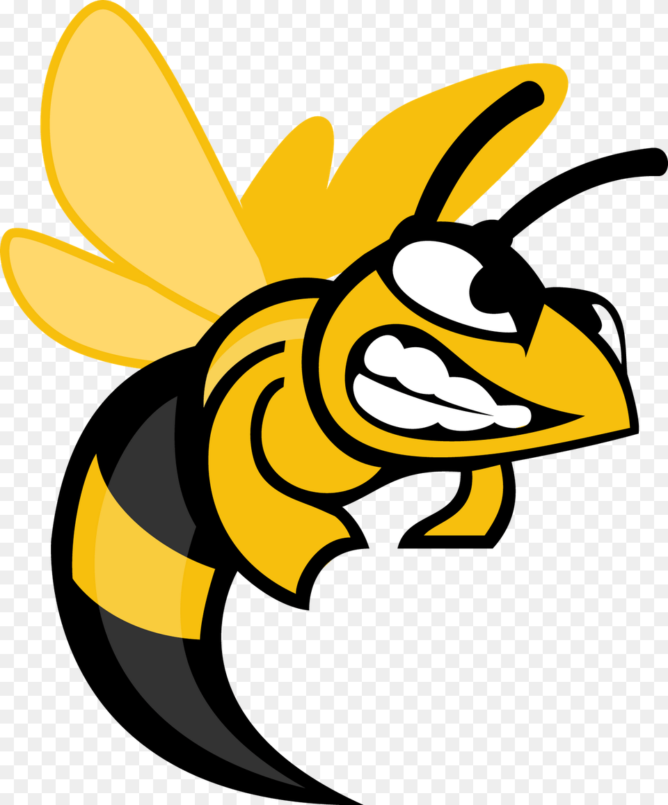 Hornet Clipart, Animal, Apidae, Bee, Bumblebee Png