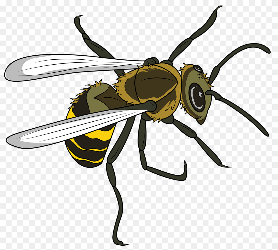 Hornet Clipart, Animal, Invertebrate, Insect, Honey Bee Free Transparent Png