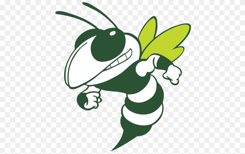 Hornet Clipart, Animal, Bee, Insect, Invertebrate Png Image