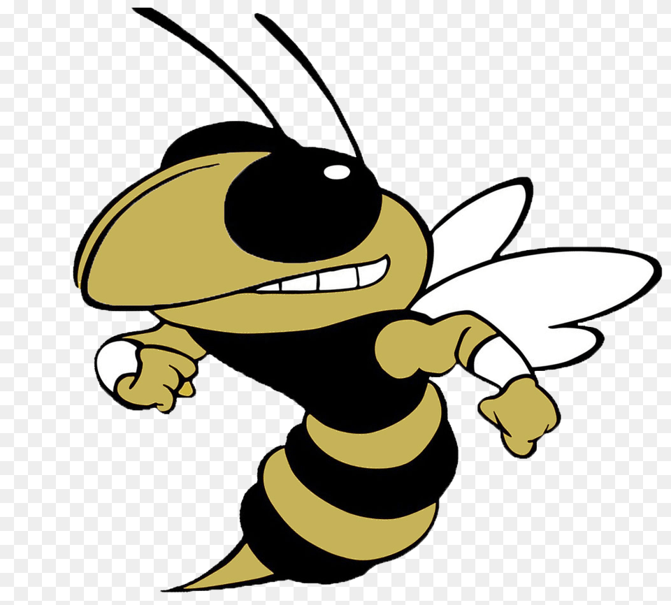 Hornet Clipart Greenville, Animal, Bee, Insect, Invertebrate Free Png Download