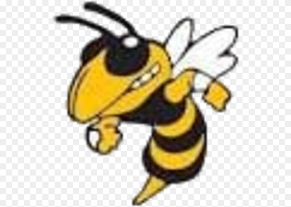 Hornet Clipart Hornet Football Mascot Carver Center Midland Tx, Animal, Invertebrate, Insect, Wasp Free Png Download